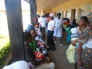 Community Health Care Team at Infant Immunization