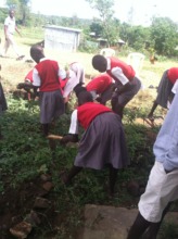 sustainakility program