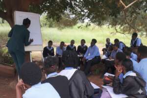 Learners under trees to study.