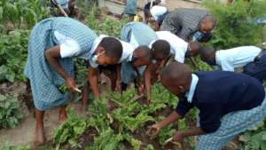 Learning to Grow Food