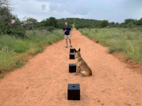 Scent line-up exercise with handler, Tim Hofmann