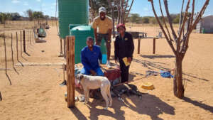 CCF Staff Preparing for Vaccination Project