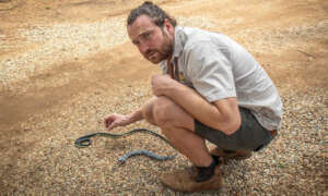 CCF Staff with real and prop snake