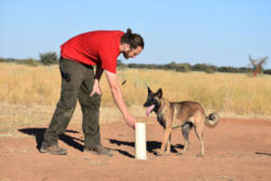 Tim and Gamena Scat Dog