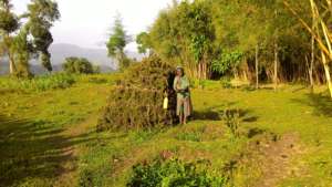 Using new pit latrine and hand washing