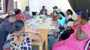 Foster family training workshop