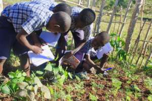 Students having a lesson in a school garden.