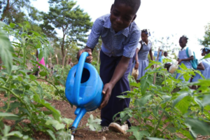 School gardens root education in rural life.