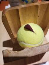 Tennis Ball Pick Step 3