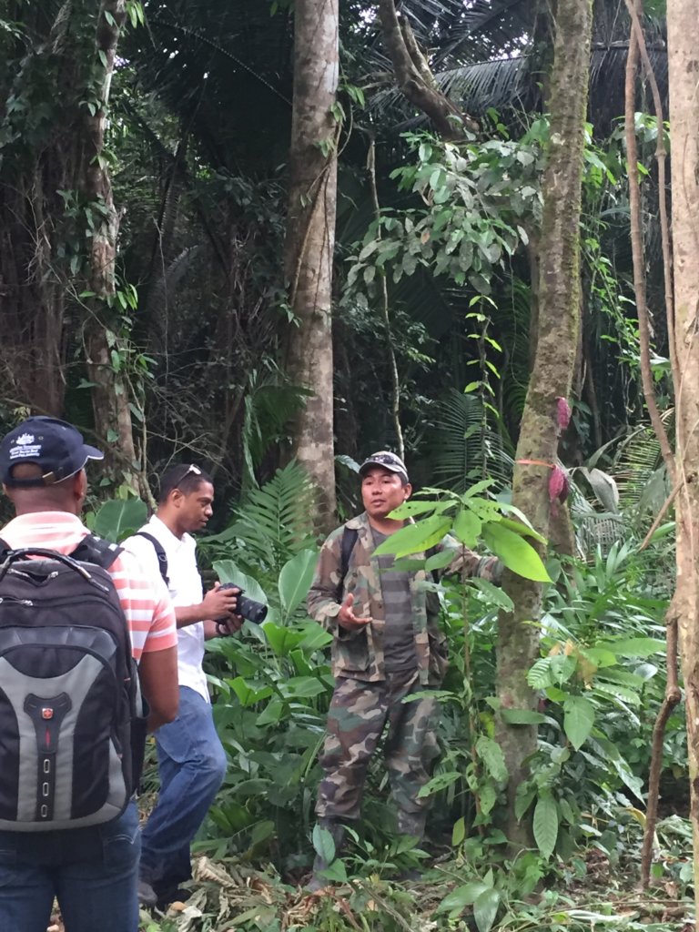 Assist Local Indigenous Farmers in Southern Belize