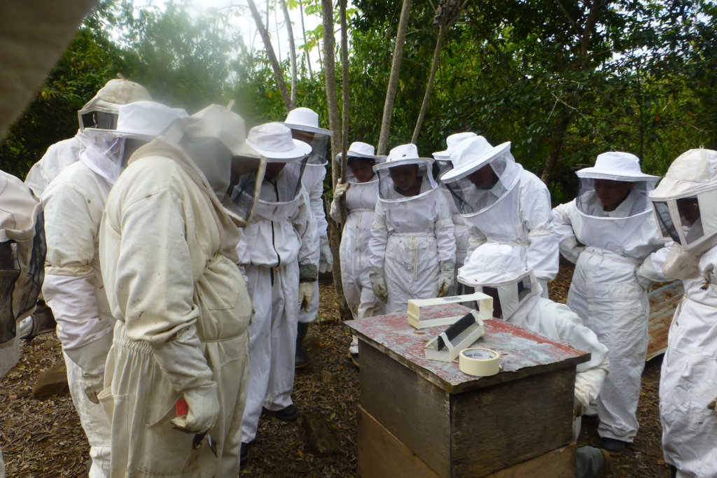 Assist Local Indigenous Farmers in Southern Belize