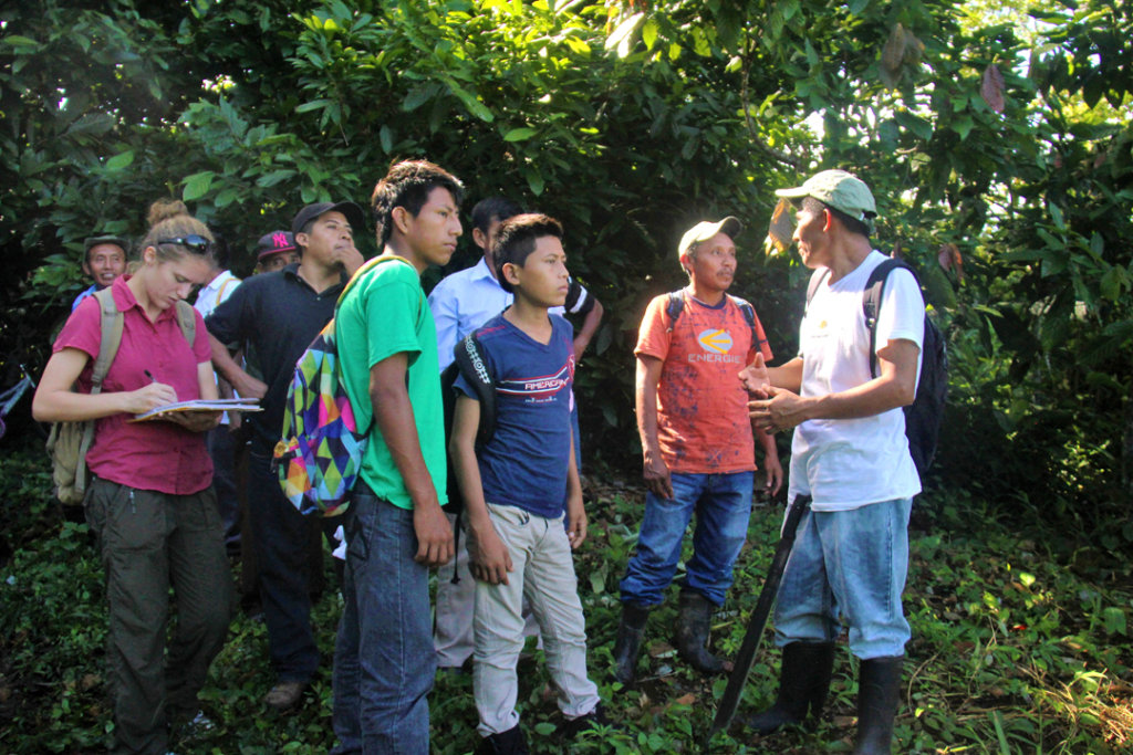 Assist Local Indigenous Farmers in Southern Belize