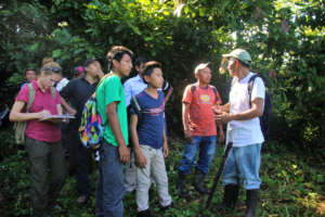 Peer to Peer Learning