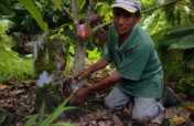 Assist Local Indigenous Farmers in Southern Belize