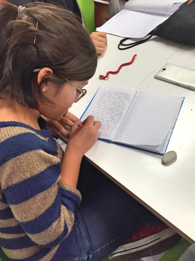 Empower 2000+ Kids in Brazil to Share and Write
