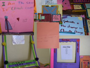 Craft display