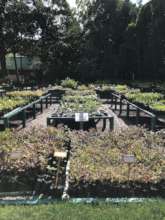Nursery at TBSE's Biodiversity Research Centre