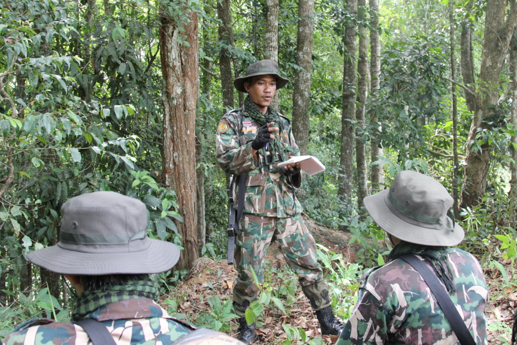 Protecting Tigers in Thailand