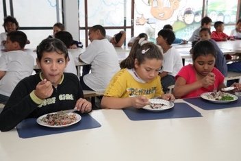 Fight Hunger in Brazil Using Food Waste