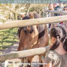 Spirit Making New Friends