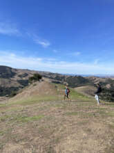 Students mapping fence lines