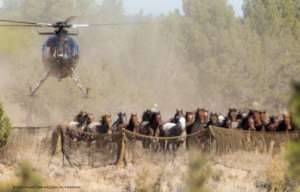 Devils Garden Roundup 2016 Photo: Steve Paige
