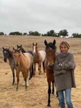 Wendy Malick with horses adopted by RTF supporters