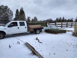Setting up panels to get entire herd into a corral