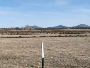 Field work at RTF's northern CA satellite ranch
