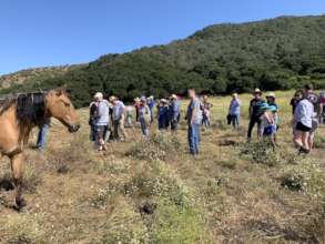 Meeting some RTF horses on a tour