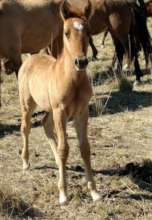 Shiva Rose, just a few weeks old