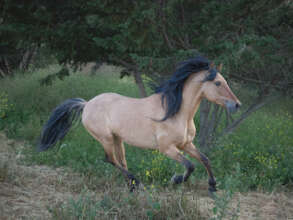 Spirit@RTF- Loved by so many-photo by-Marla Dell