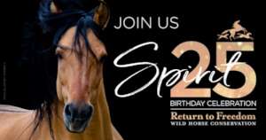 Spirit's Birthday goes virtual
