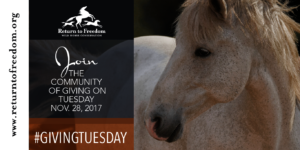 GivingTuesday