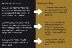 On the Range Accountability: What We Are Doing