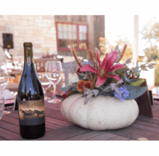 Wendie Malick Hosts RTF's Wild Autumn Supper