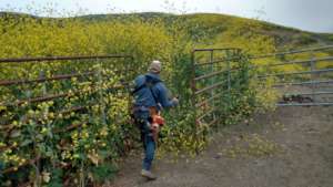 Aaron on weed control!