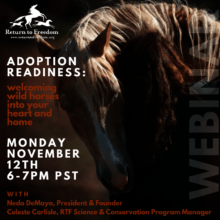 Adoption Webinar Invitation