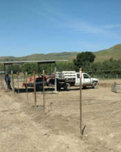 Putting up fencing