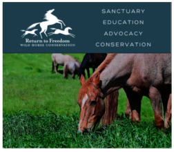 Grazing at RTF San Luis Obispo Satellite