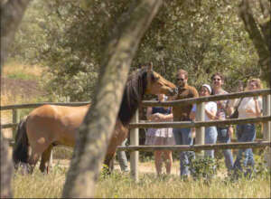 Spirit Greets His Partygoers-photo-Irene Vejar