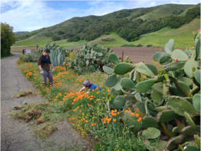 Vandenberg Volunteers sprucing up RTF