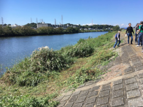 Oghi in full bloom in Nov.2018