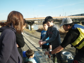 Pics from Jan 28