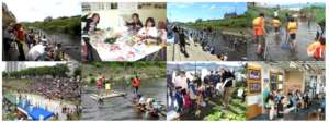 Biodiversity Restoration Along the Tsurumi River