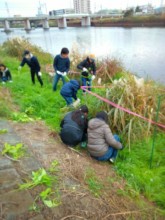 thinning grass