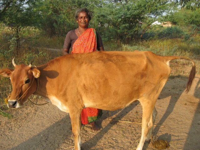 Empower Destitute Women In India