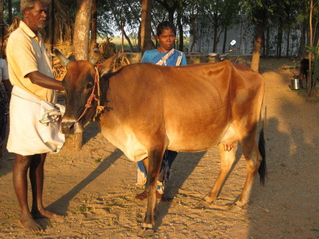 Empower Destitute Women In India