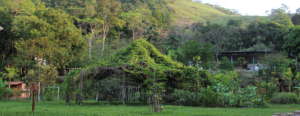 Sinal do Vale, a living laboratory