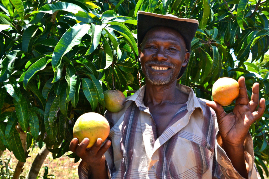 Unleash the skills of 1000 global problem solvers!